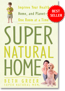 Book Cover for Super Natural Home by Beth Greer