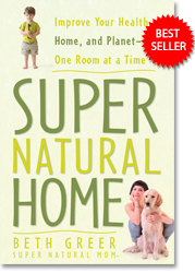 Super Natural Home: Improve Your Health, Home and Planet—One Room at a Time book by Beth Greer, the Super Natural Mom®